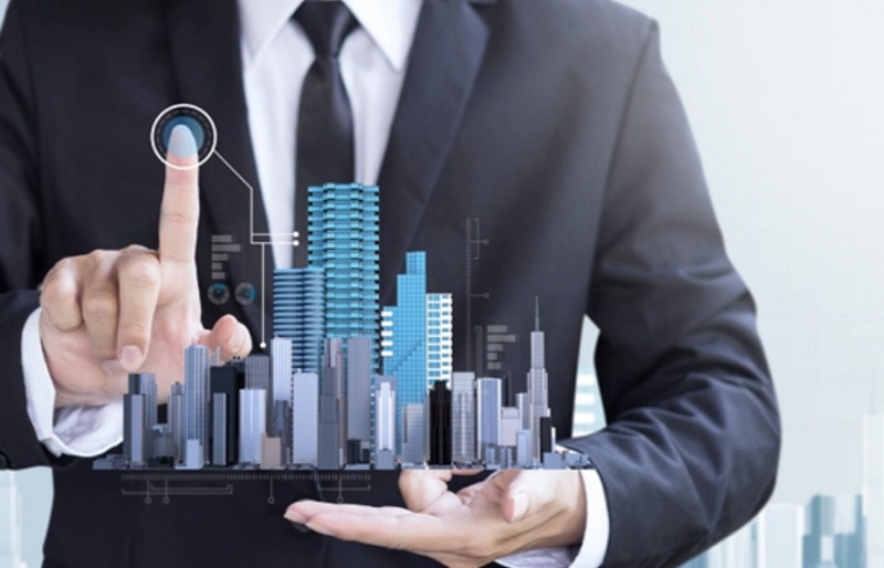 chu-dau-tu-va-nha-phat-trien-du-an-bds-2